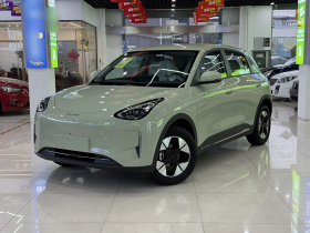 吉利银河 星愿 2025款 310km 梦想版