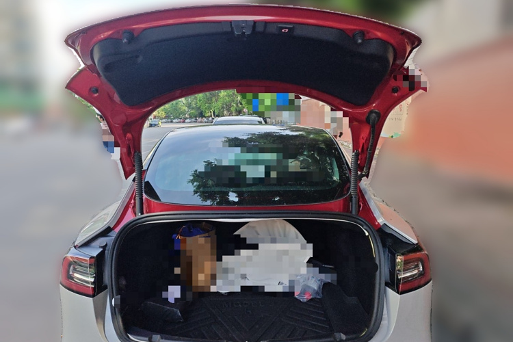 特斯拉 Model 3 2019款 标准续航后驱升级版局部细节23