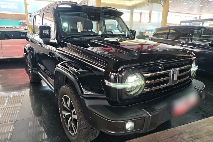 坦克300 2021款 城市版 2.0T 很有型车身外观6002