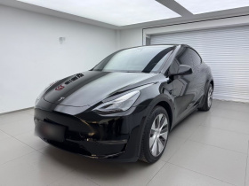 特斯拉 Model Y 2021款 标准续航后驱版