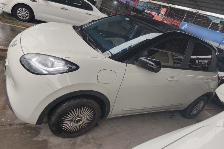 五菱汽车 五菱缤果 2024款 203km 轻享款车身外观4