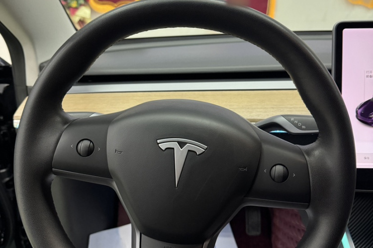 特斯拉 Model 3 2020款 长续航后轮驱动版中控内饰7009