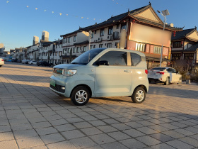 五菱汽车 宏光MINIEV 2020款 自在款 磷酸铁锂