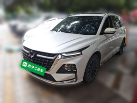 五菱汽车 五菱凯捷 2023款 2.0L DHT奢享型