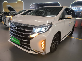 广汽传祺 传祺M8 2021款 领秀系列 390T 豪华版