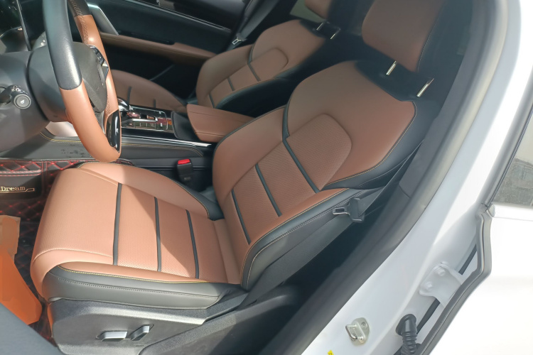 比亚迪 唐新能源 2021款 DM 2.0T 四驱性能版尊贵型中控内饰19