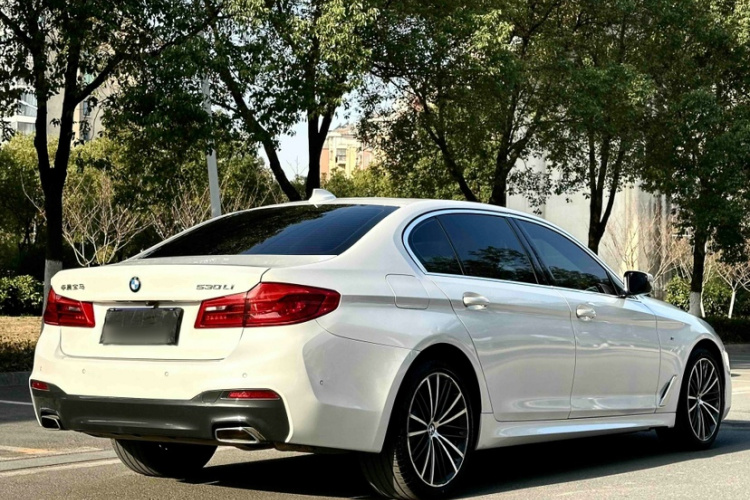 宝马5系 2020款 530Li 领先型 M运动套装车身外观6005