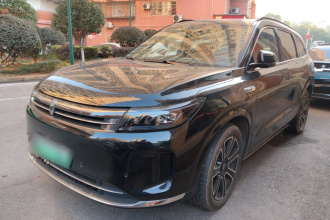 鸿蒙智行 问界M7 2024款 1.5T 四驱Plus版 5座