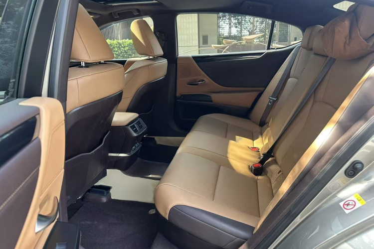 雷克萨斯ES 2018款 300h 卓越版 国V车身外观6010