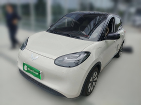 五菱汽车 五菱缤果 2024款 333km 灵犀互联款