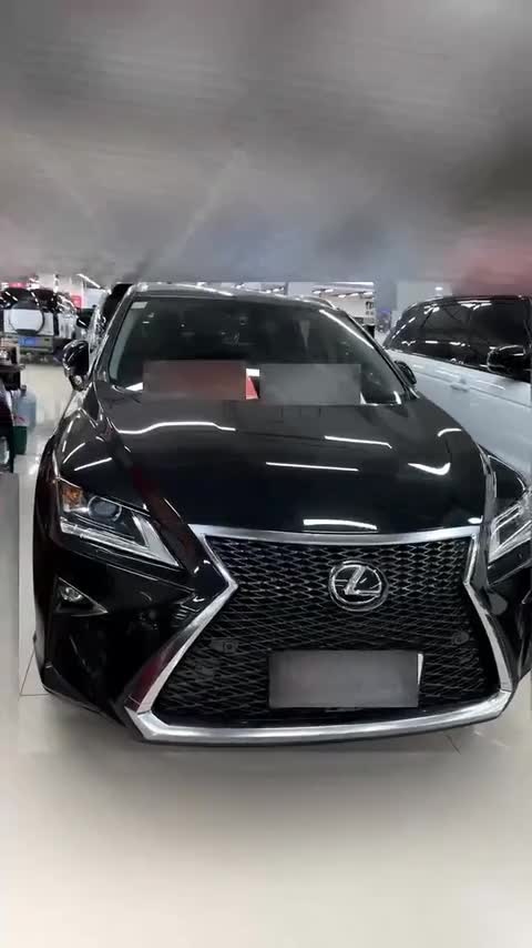 雷克萨斯RX 2016款 300 两驱精英版 国V讲解2