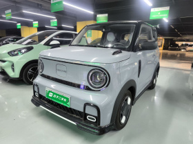 吉利银河 2025款 210km 熊猫卡丁