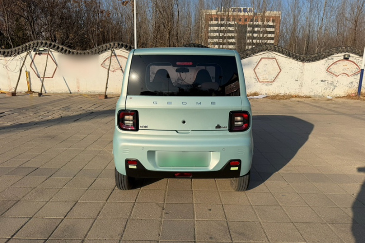 吉利银河 2024款 熊猫mini 200km 耐力熊车身外观6004