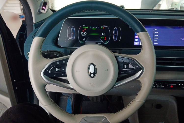 欧拉好猫 2021款 400km标准续航 雅典娜版 三元锂中控内饰13