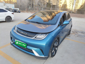 比亚迪 海豚 2021款 401km 骑士版