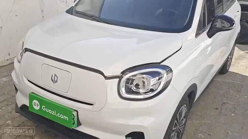 零跑汽车 零跑T03 2024款 310舒享版检测视频1