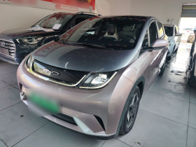 比亚迪 海豚 2021款 405km 自由版