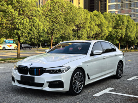 宝马5系 2019款 530Li 领先型 M运动套装