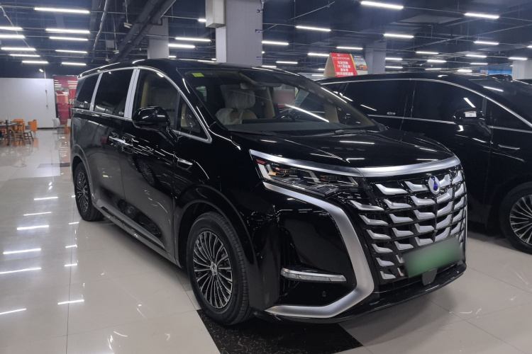 腾势D9 2025款 DM-i 智驾版 1100 豪华型车身外观6002