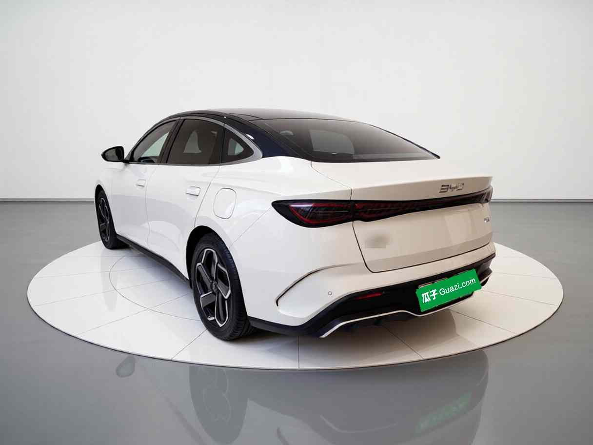 比亚迪 海豹06新能源 2024款 DM-i 120KM旗舰型(3)