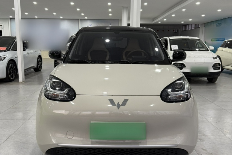 五菱汽车 五菱缤果 2024款 203km 轻享款车身外观6005