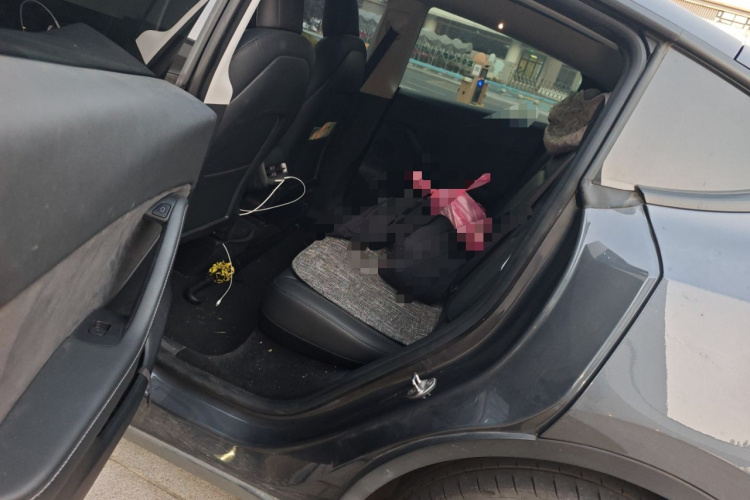 特斯拉 Model Y 2021款 长续航全轮驱动版中控内饰21