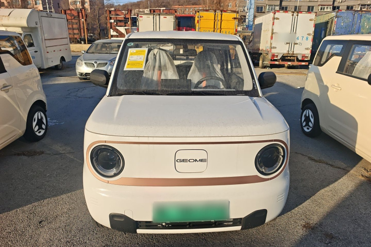 吉利银河 2024款 熊猫mini 200km 耐力熊车身外观6001