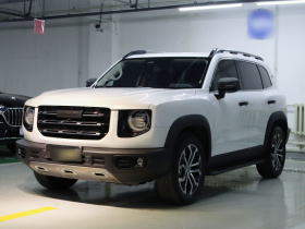 哈弗大狗 2021款 1.5T DCT两驱边牧版