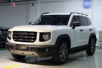 哈弗大狗 2021款 1.5T DCT两驱边牧版