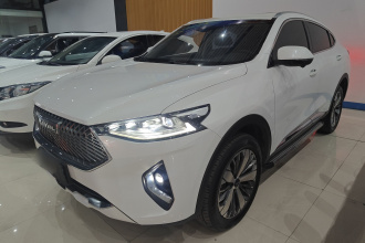 哈弗F7x 2021款 1.5T 两驱极智潮玩版