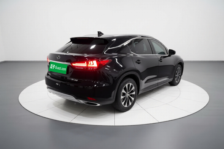 雷克萨斯RX 2020款 改款 300 两驱精英版车身外观7