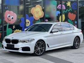 宝马5系 2019款 改款 530Li 尊享型 M运动套装