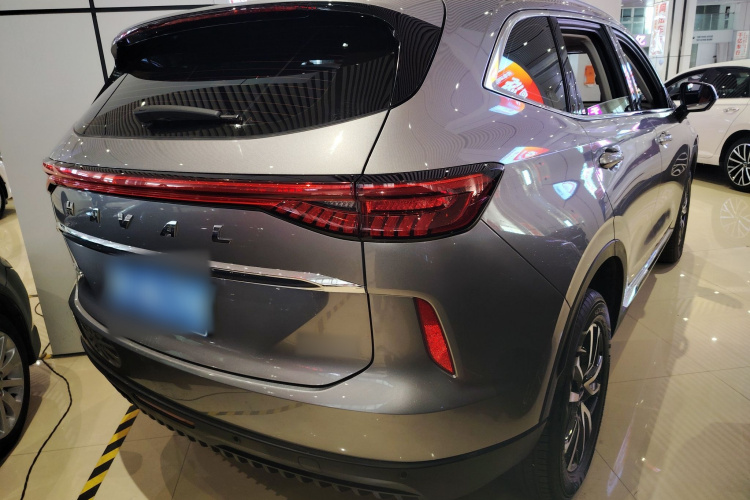 哈弗H6 2024款 1.5T 两驱经典版车身外观6005
