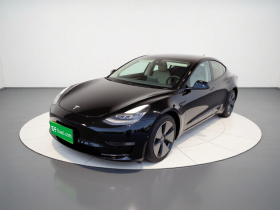 特斯拉 Model 3 2021款 标准续航后驱升级版 3D6