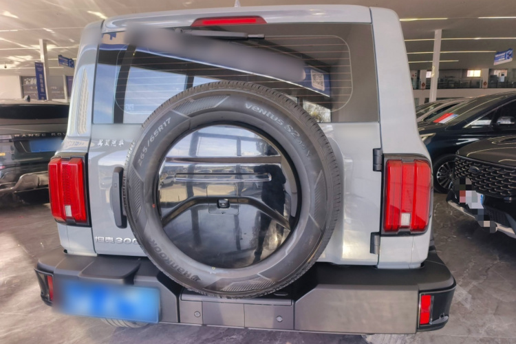 坦克300 2024款 2.0T 征服者车身外观6004