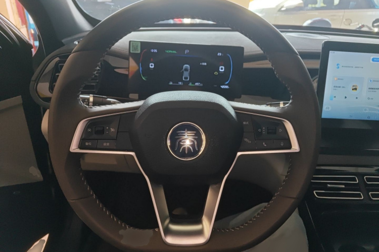 比亚迪 秦PLUS 2023款 冠军版 DM-i 55KM领先型局部细节13