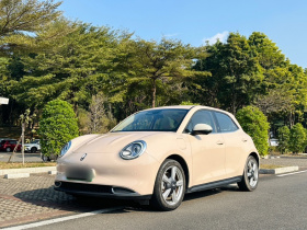 欧拉好猫 2021款 400km标准续航 维纳斯版 磷酸铁锂