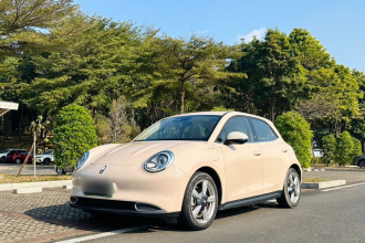 欧拉好猫 2021款 400km标准续航 维纳斯版 磷酸铁锂