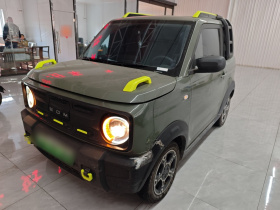 吉利银河 2024款 200km 熊猫骑士