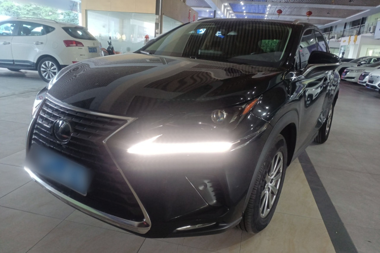 雷克萨斯NX 2020款 300h 前驱 锋尚版 国VI车身外观1