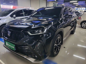 丰田 皇冠陆放 2023款 2.5L HEV四驱尊贵版