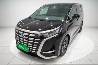 腾势D9 2022款 DM-i 970 四驱旗舰型