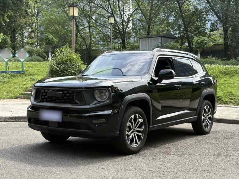 哈弗大狗 PLUS 2023款 2.0T 两驱潮野版Plus(1)