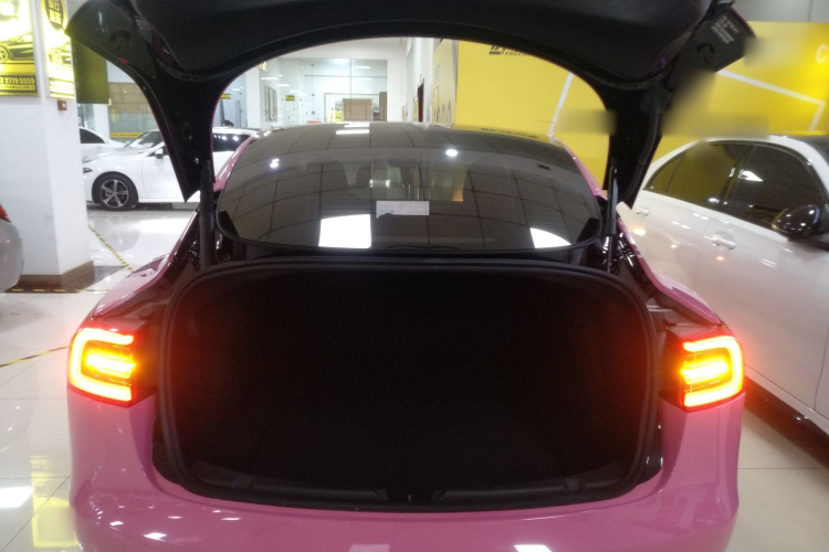 特斯拉 Model 3 2022款 后轮驱动版机舱底盘23