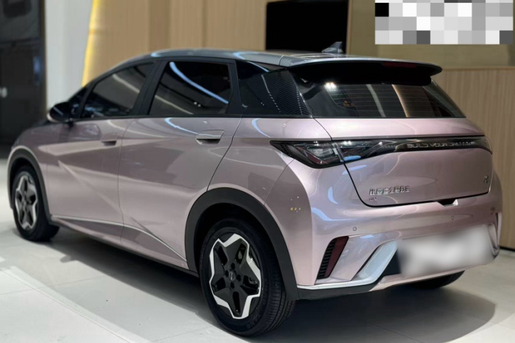 比亚迪 海豚 2021款 405km 时尚版车身外观6004