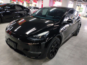 特斯拉 Model Y 2021款 标准续航后驱版