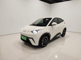 比亚迪 海鸥 2023款 自由版