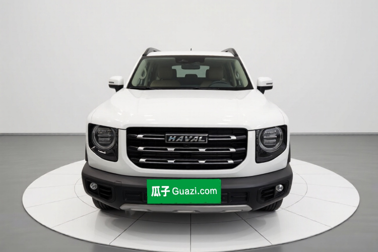 哈弗大狗 2021款 1.5T DCT两驱马犬-旺财版车身外观2