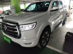 长城 炮 2020款 2.0T自动柴油两驱舒适版GW4D20M