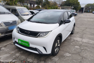 比亚迪 海豚 2024款 荣耀版 420km 时尚版